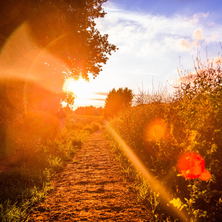 Get Outside in Detroit: 5 of the best Metro Detroit parks and trails to get you into nature