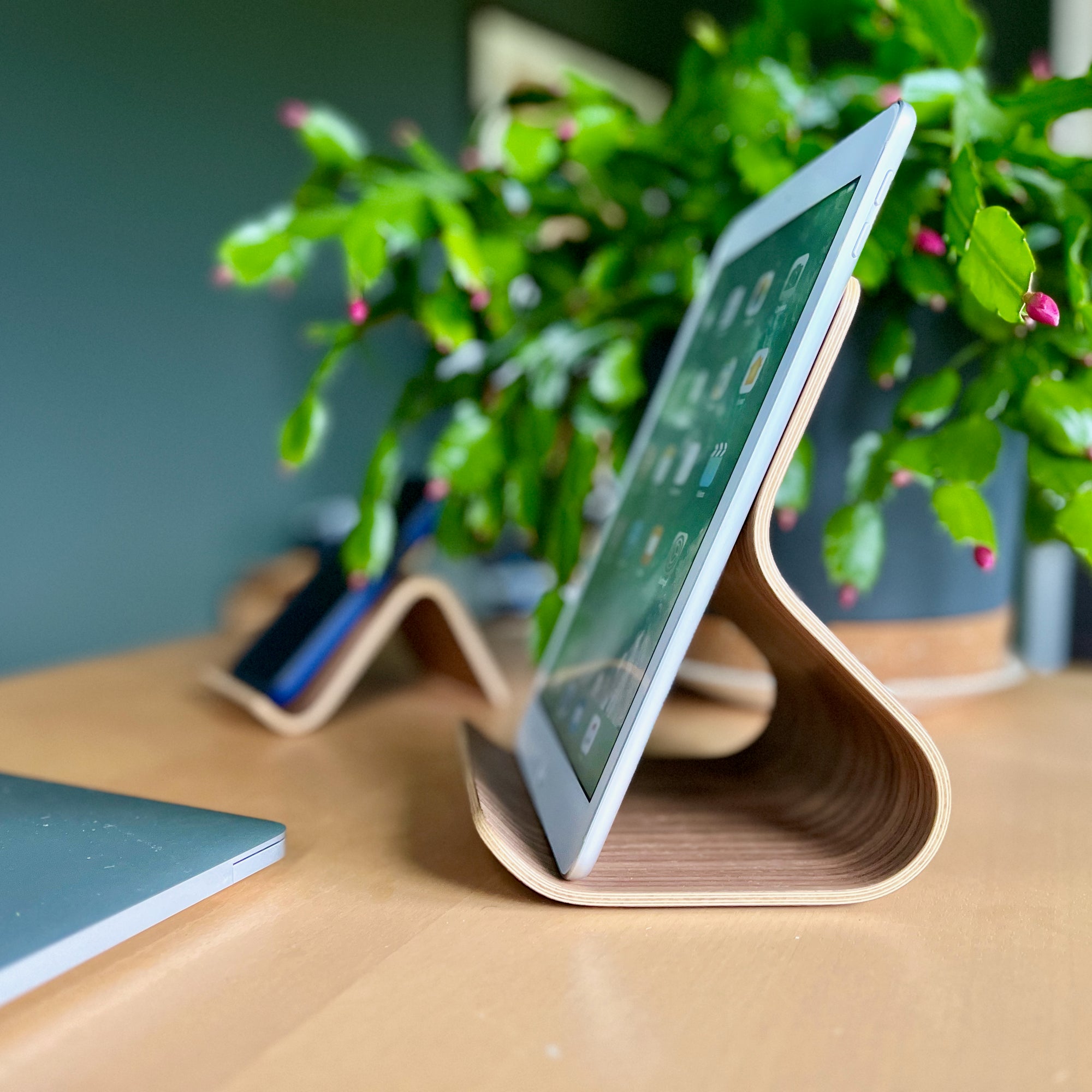 Ray Tablet Stand