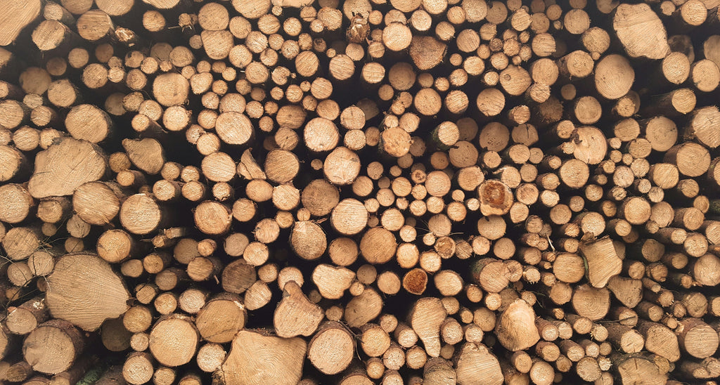 Material Matters: Choosing Sustainable Woods for Lasting Quality