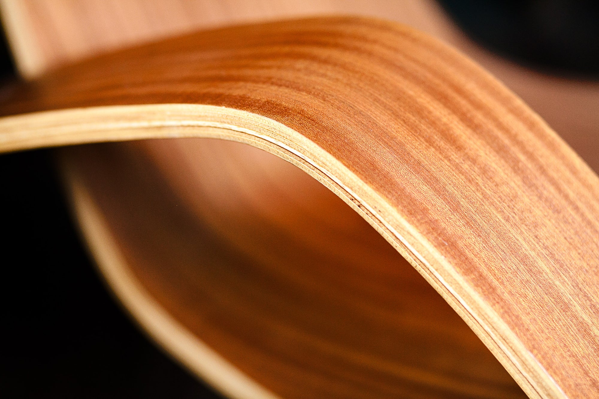Ciseal Custom Bent Plywood Lounge Chair